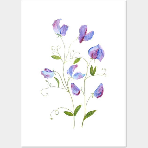 purple sweat peas flowers 2021 Wall Art by colorandcolor